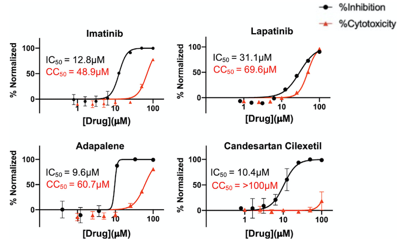 Unprecedented multiscale model of protein behavior linked to